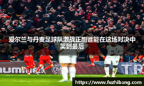 爱尔兰与丹麦足球队激战正酣谁能在这场对决中笑到最后